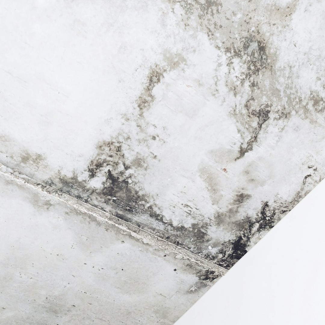 white and gray concrete wall